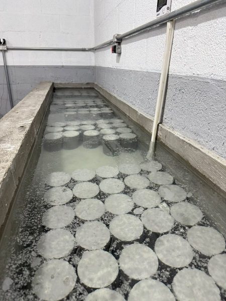 Tanque de cura do laboratório da CONCRECIA com corpos de prova de concreto submersos